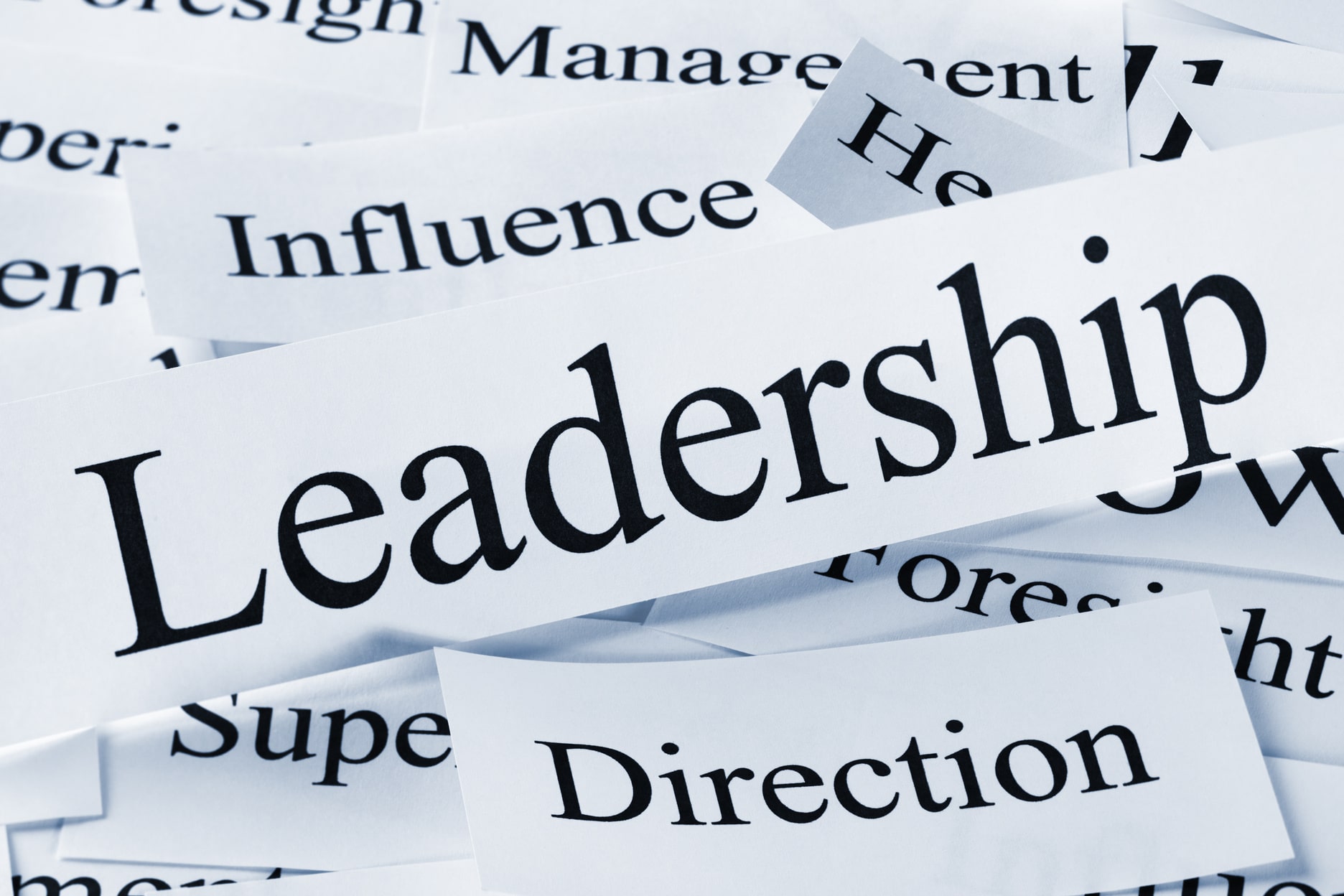 leadership